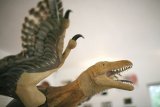 În Ţara Haţegului, dinozaurii pitici se întorc acasă