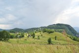 Apocalipsa pădurilor româneşti - MUNŢII APUSENI - BLESTEMUL AURULUI VERDE -