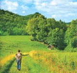 Medicamentele verii: Câmpul, pajiştea şi pădurea