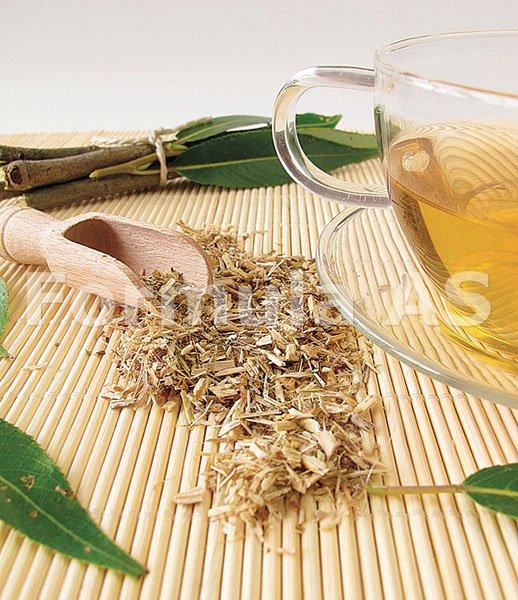 Ceai de salcie - fanfarapr.ro, sursa ta naturala de ceaiuri, tincturi si remedii naturale