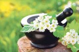 Din reţetele domnului farmacist Bobaru: Tratamente cu flori de Mai