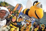 Organizaţia Avaaz salvează albinele