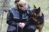 Balada câinelui poliţist