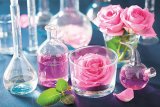 Sănătate cu flori de vară - Teiul, salcâmul şi trandafirul