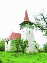 Monumentele nepasarii: Biserica din Pesteana