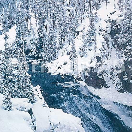 simptome de exacerbare a artrozei genunchiului dureri la nivelul genunchilor la vârstnici