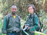 Printre gorilele din Ruanda